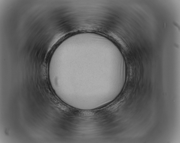 X0000090960878200708301200