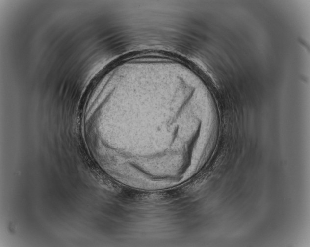 X0000090960879200708301200