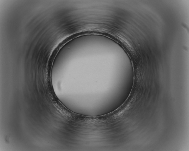 X0000090960880200708301200