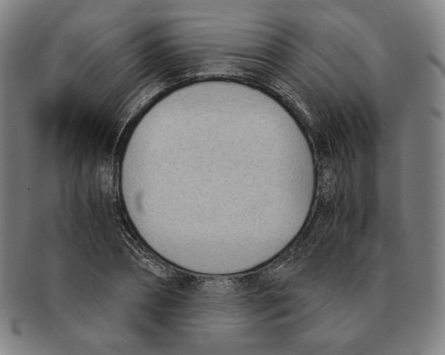 X0000090960882200708301200