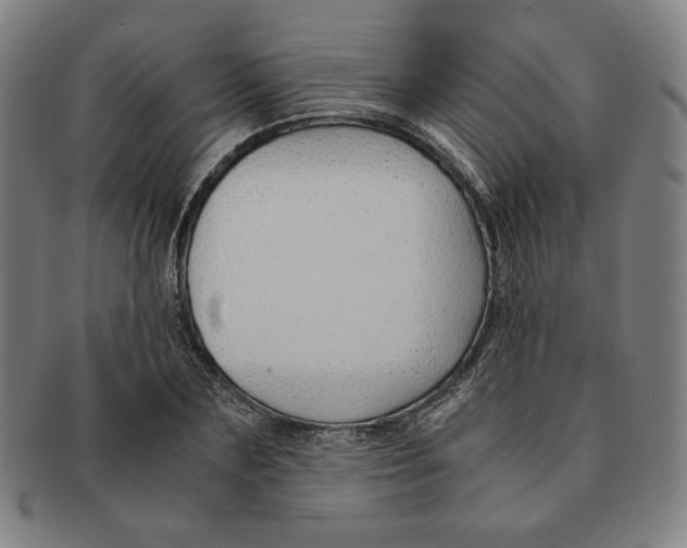 X0000090960883200708301200