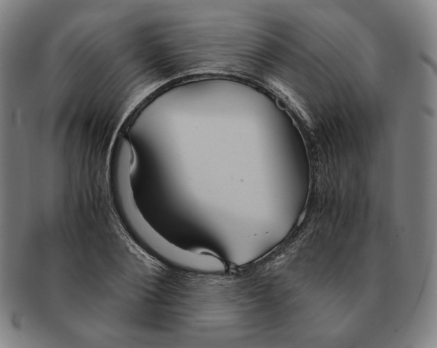 X0000090960884200708301200