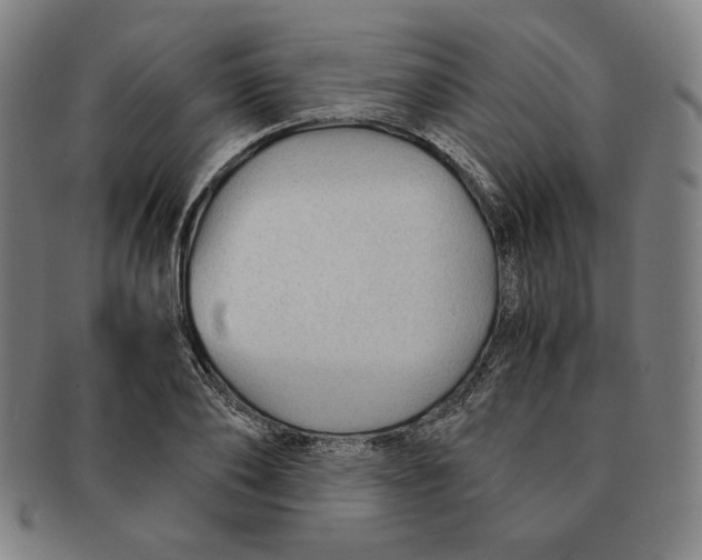 X0000090960886200708301200