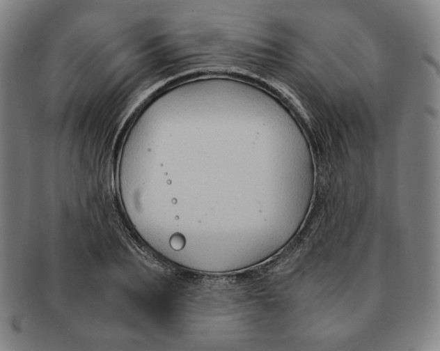 X0000090960887200708301200