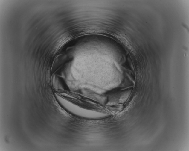 X0000090960889200708301200