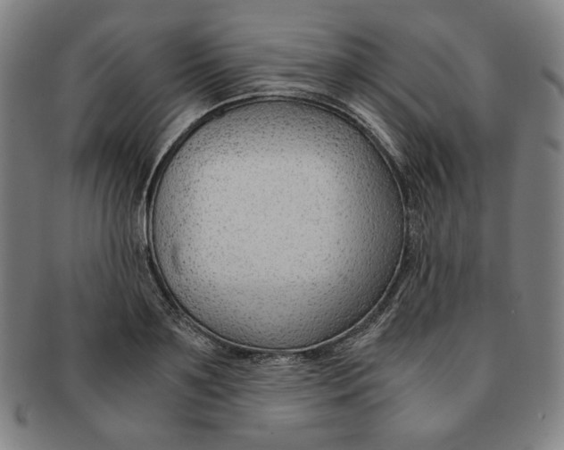 X0000090960891200708301200