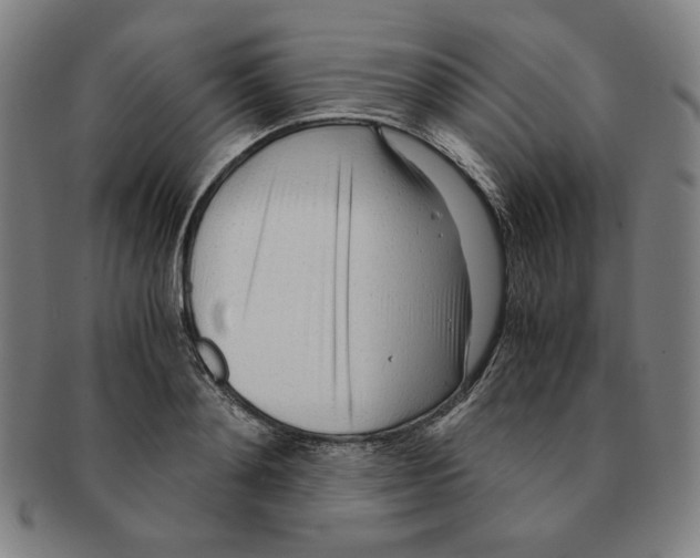 X0000090960892200708301200