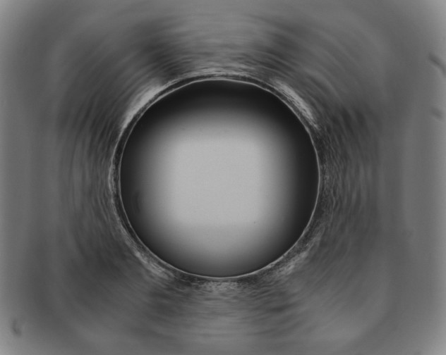 X0000090960893200708301200