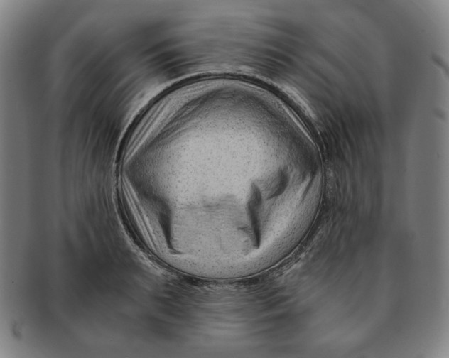 X0000090960895200708301200