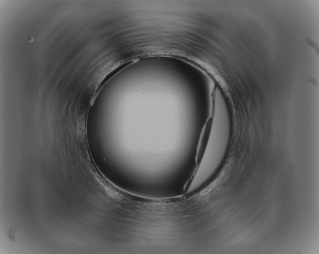 X0000090960897200708301200