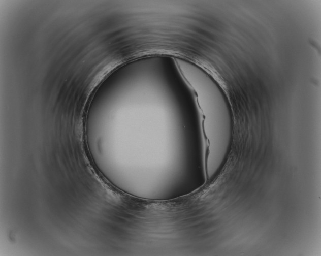 X0000090960898200708301200