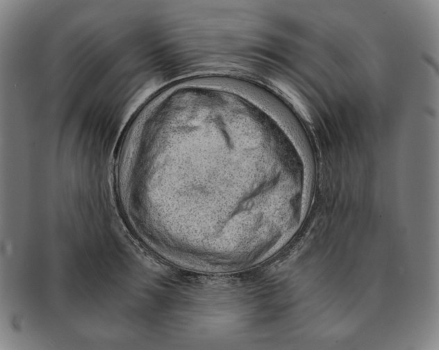 X0000090960899200708301200