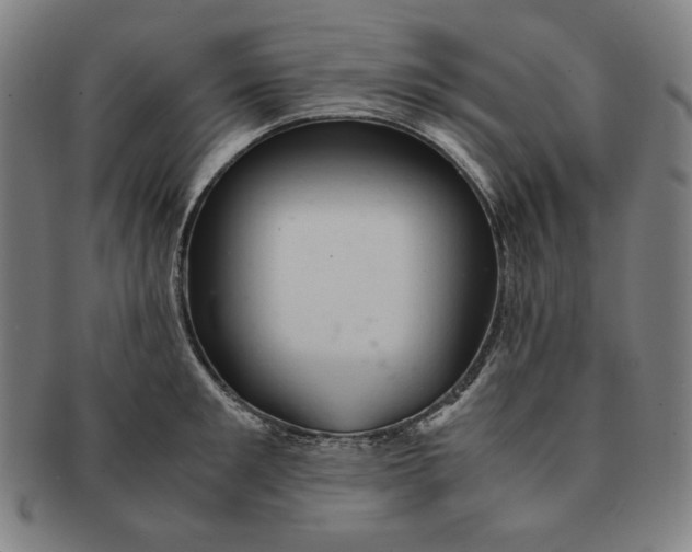 X0000090960901200708301200