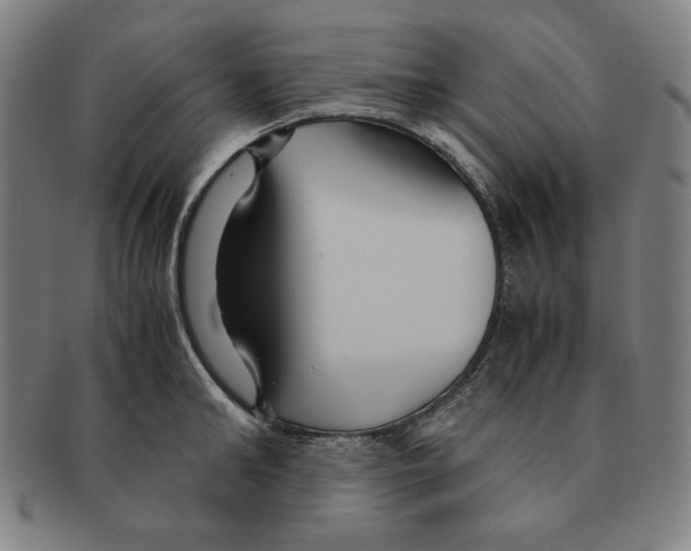 X0000090960902200708301200