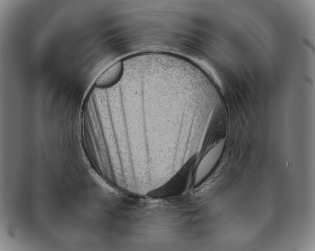 X0000090960903200708301200