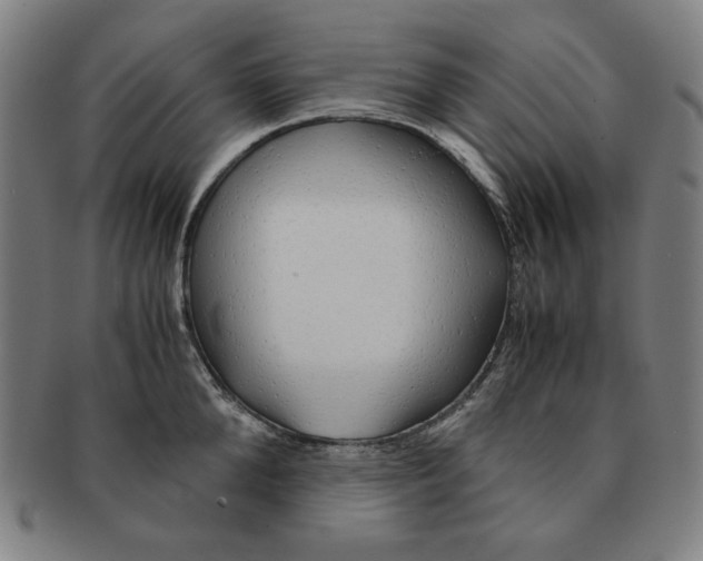 X0000090960904200708301200