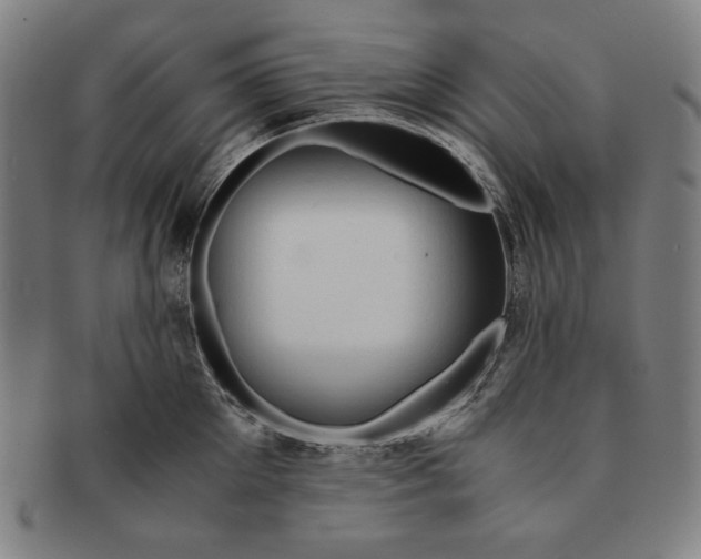 X0000090960905200708301200