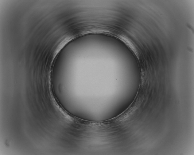 X0000090960906200708301200