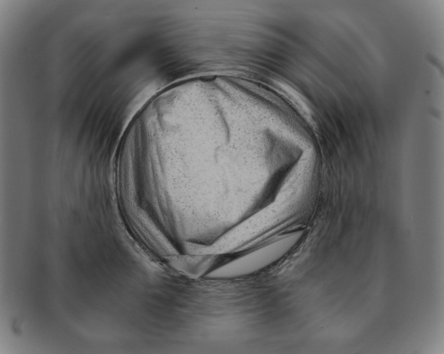 X0000090960907200708301200