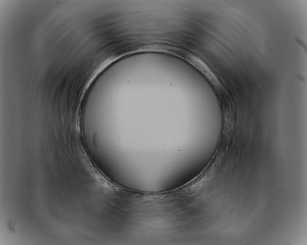 X0000090960908200708301200