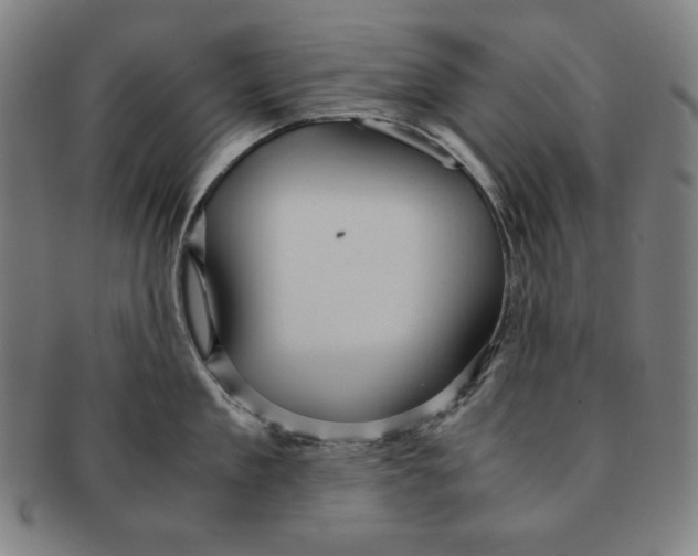 X0000090960909200708301200