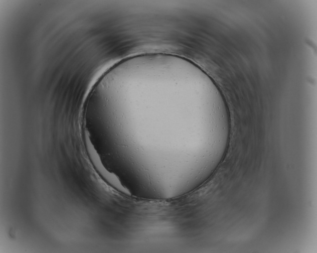 X0000090960912200708301200