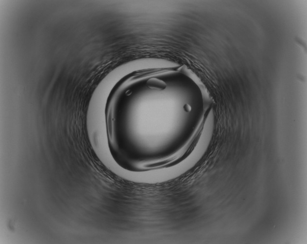 X0000090960914200708301159