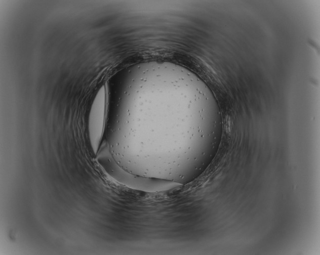 X0000090960915200708301159