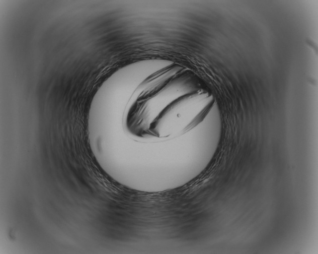 X0000090960916200708301159