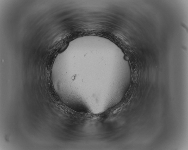 X0000090960917200708301159