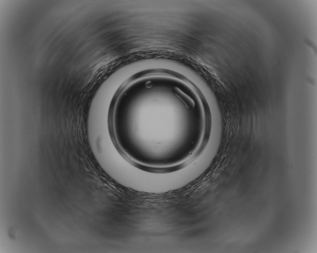 X0000090960918200708301159