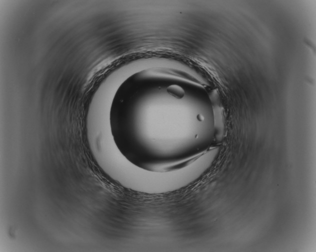 X0000090960920200708301159