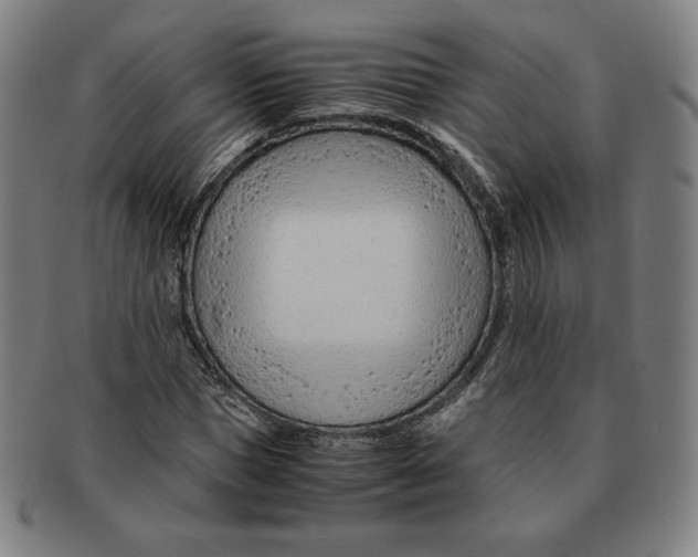 X0000090960921200708301159