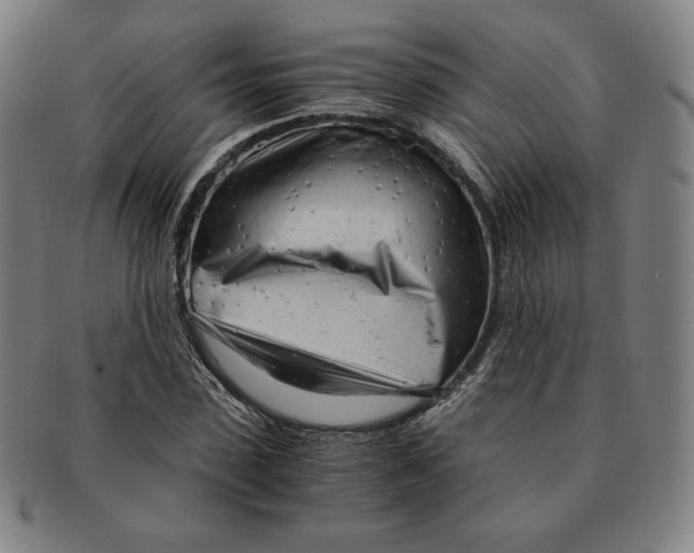 X0000090960923200708301159