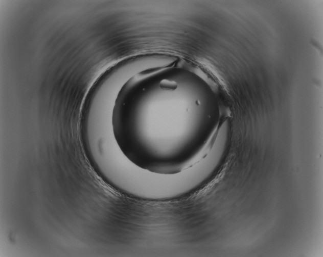 X0000090960924200708301159