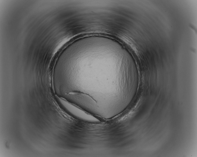 X0000090960925200708301159