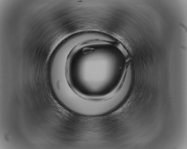 X0000090960926200708301159