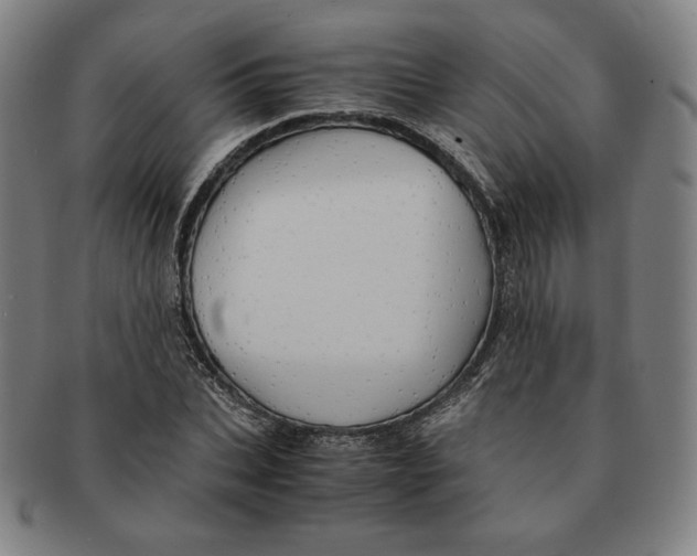 X0000090960927200708301159