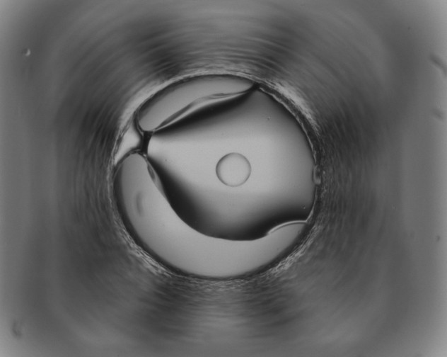 X0000090960928200708301159