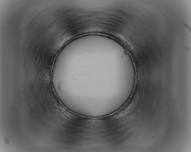 X0000090960929200708301159