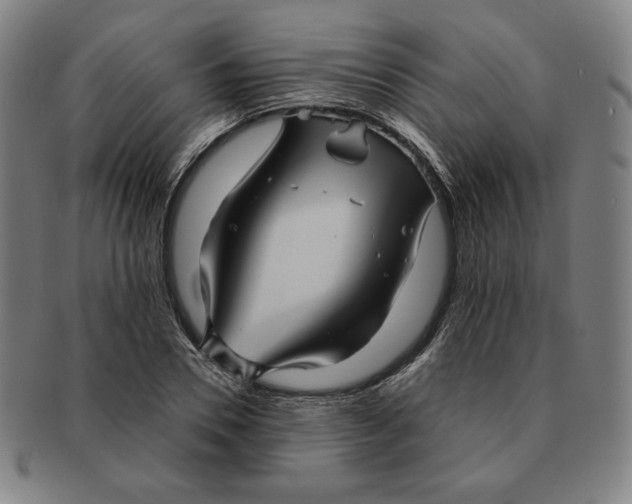 X0000090960930200708301159