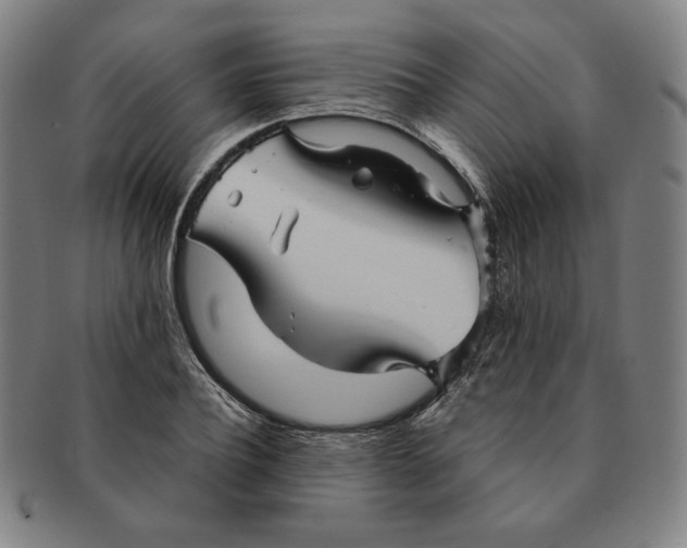 X0000090960932200708301159