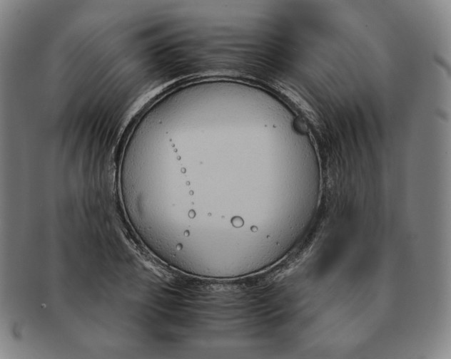 X0000090960933200708301159