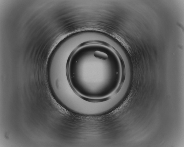 X0000090960934200708301159