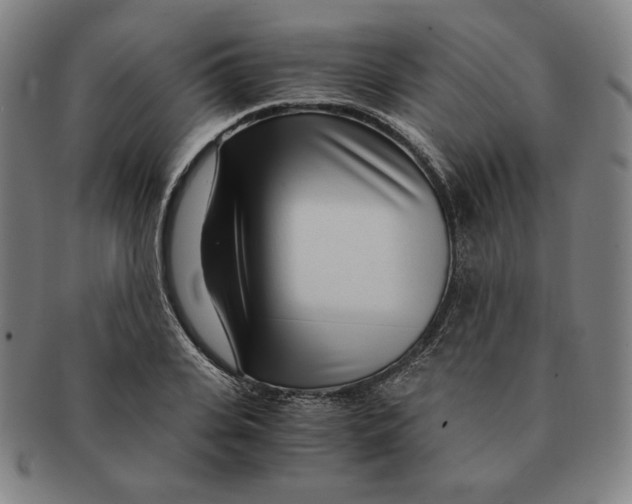 X0000090960935200708301159