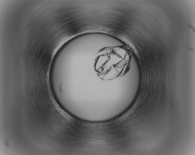 X0000090960936200708301159