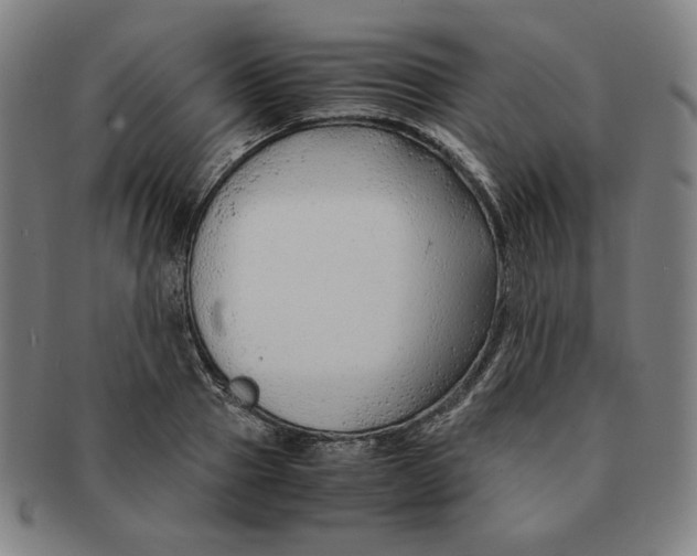 X0000090960937200708301159