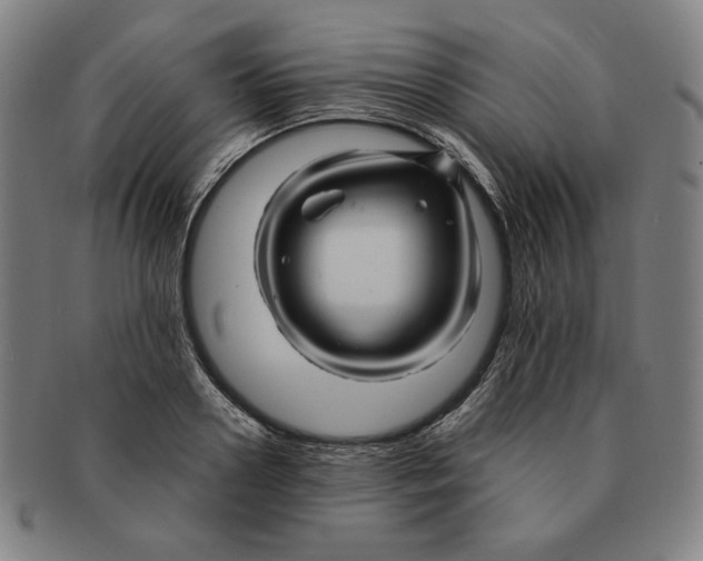 X0000090960938200708301159