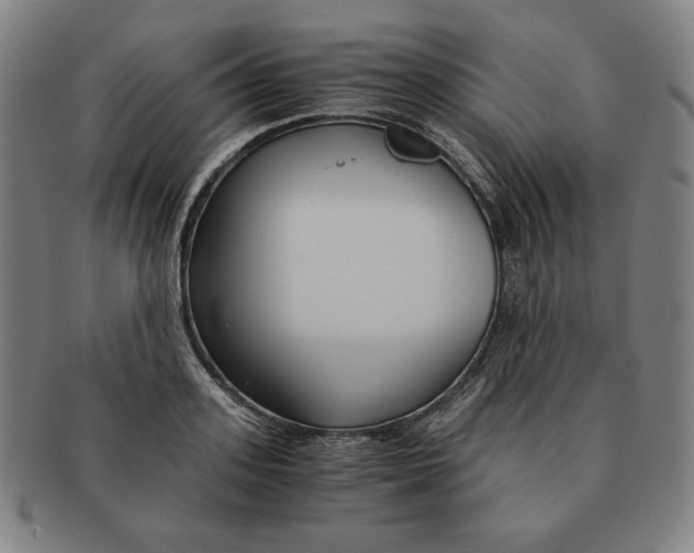 X0000090960939200708301159