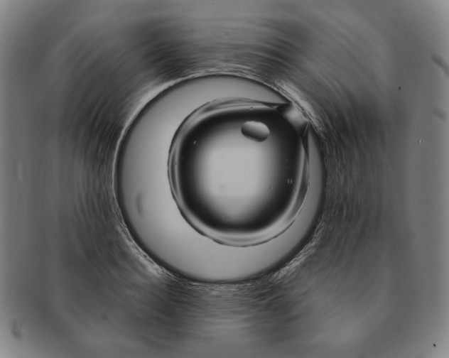 X0000090960940200708301159